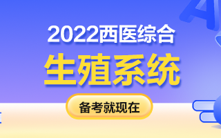 2022西医综合考研知识点：生殖系统