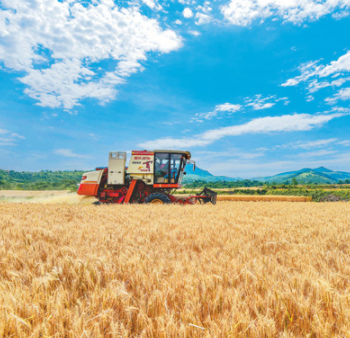 2022考研时政热点：麦收进度达85%